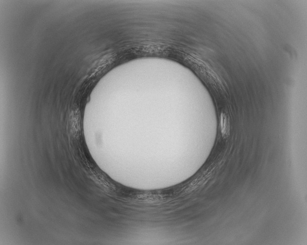 X0000115791107200912111142