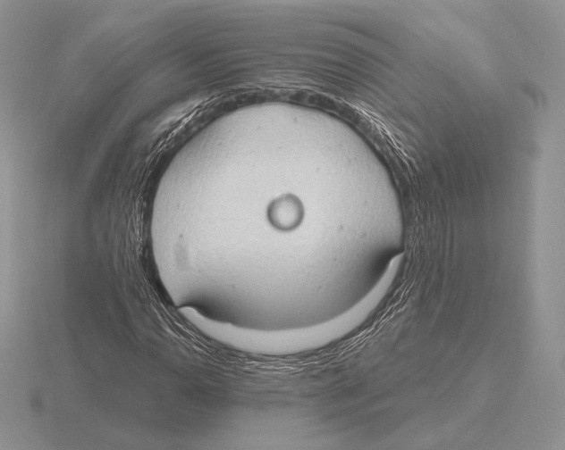 X0000115791110200912111142