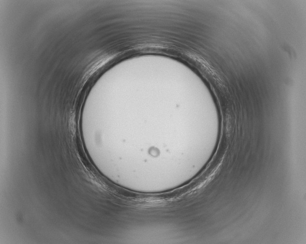 X0000115791113200912111142