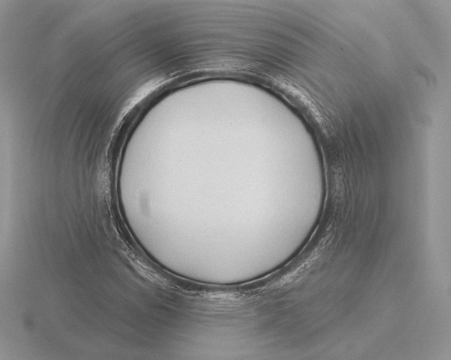 X0000115791114200912111142