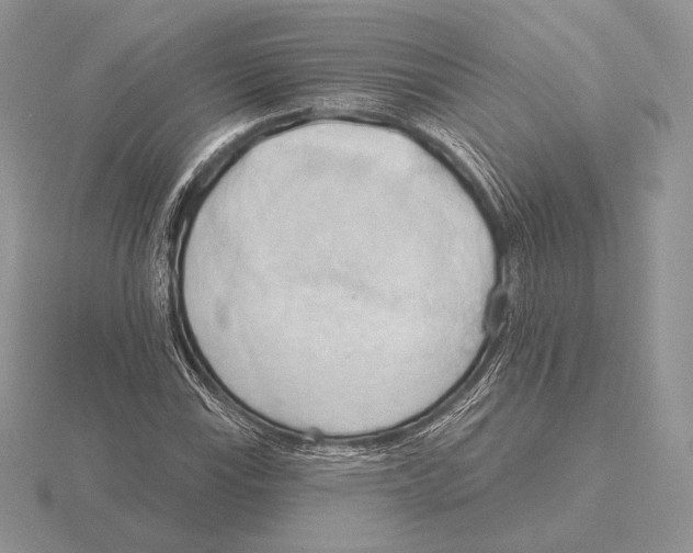 X0000115791115200912111142