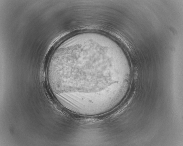 X0000115791117200912111142