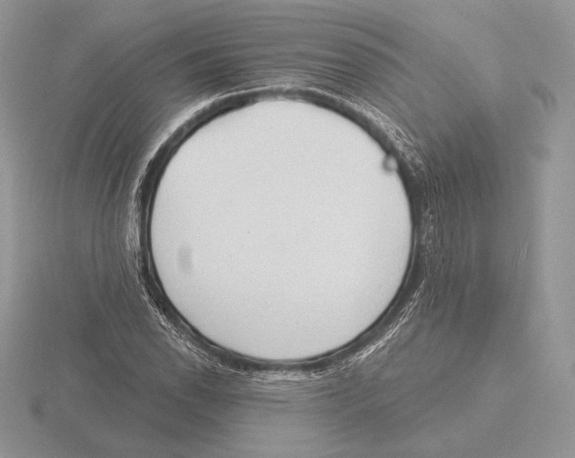 X0000115791118200912111142