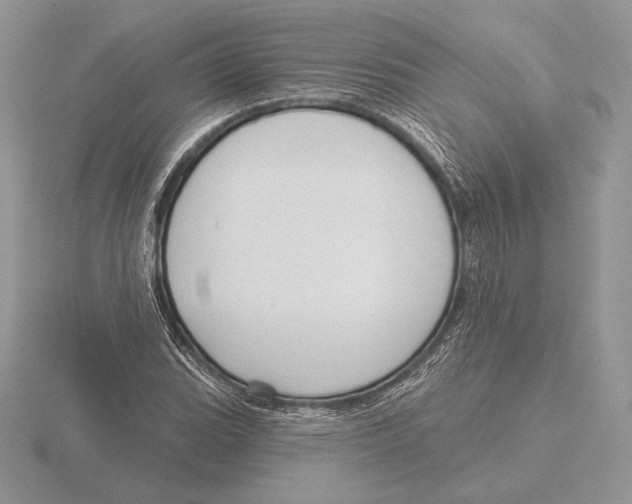 X0000115791119200912111143