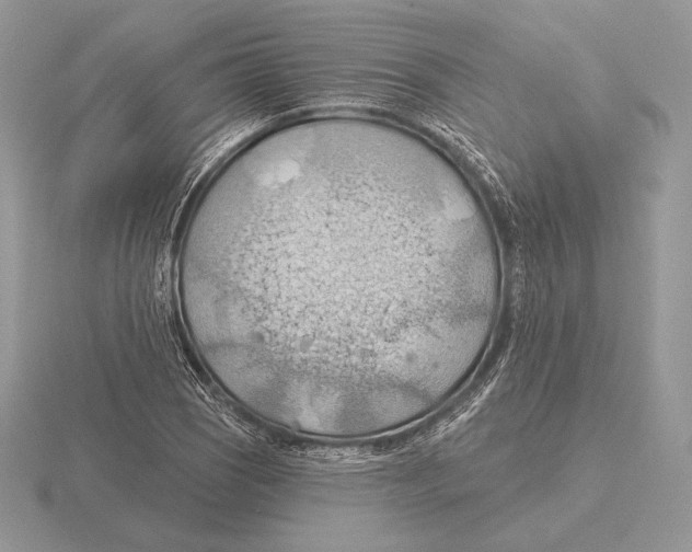 X0000115791121200912111143