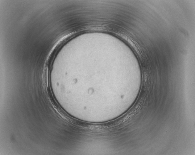 X0000115791123200912111143