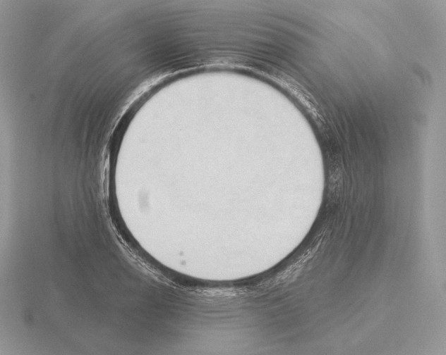 X0000115791126200912111143