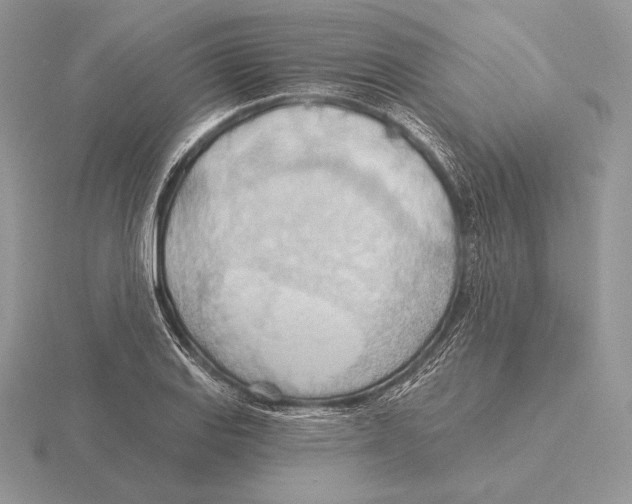 X0000115791127200912111143