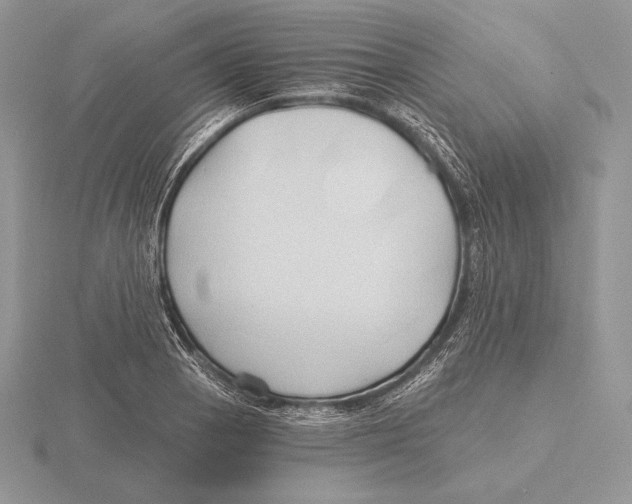 X0000115791129200912111143