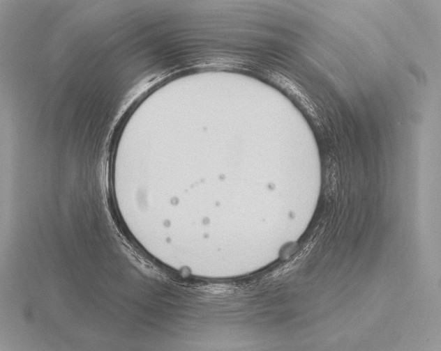 X0000115791130200912111143