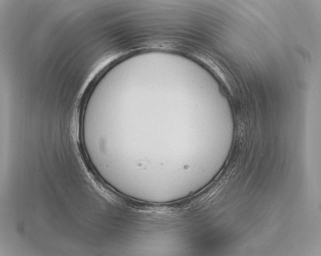 X0000115791131200912111143