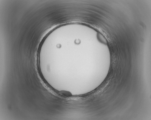 X0000115791134200912111143