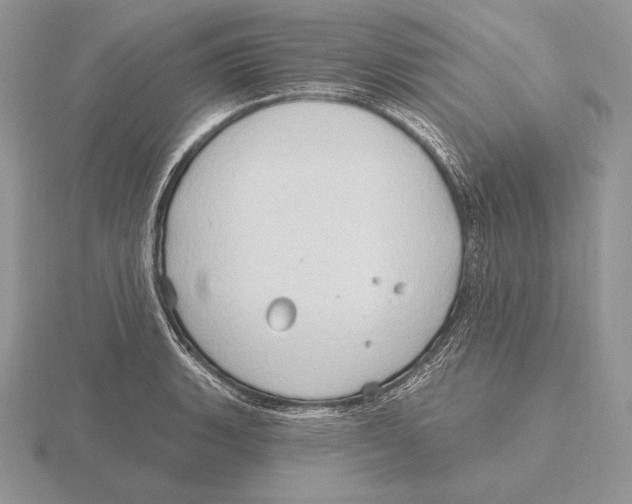 X0000115791135200912111143