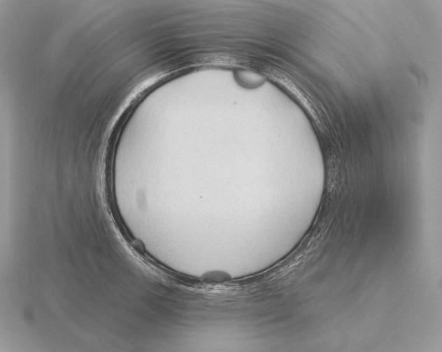 X0000115791139200912111143