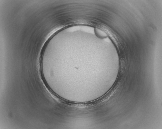 X0000115791141200912111143