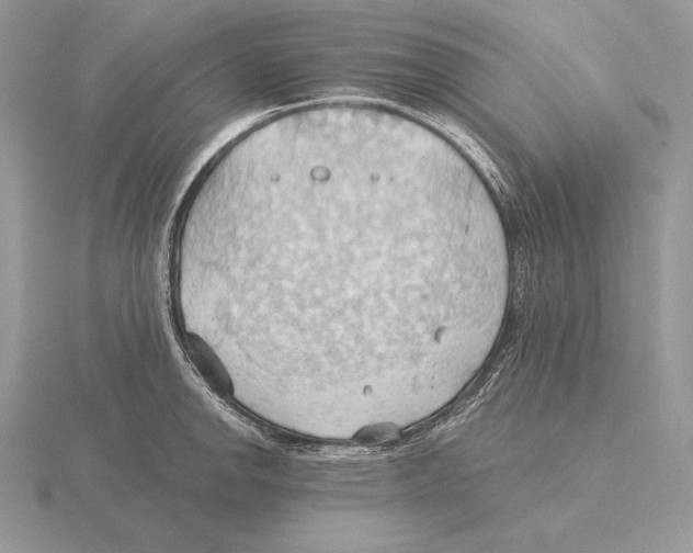 X0000115791142200912111143