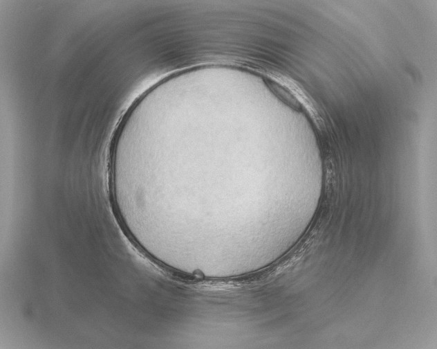 X0000115791143200912111143