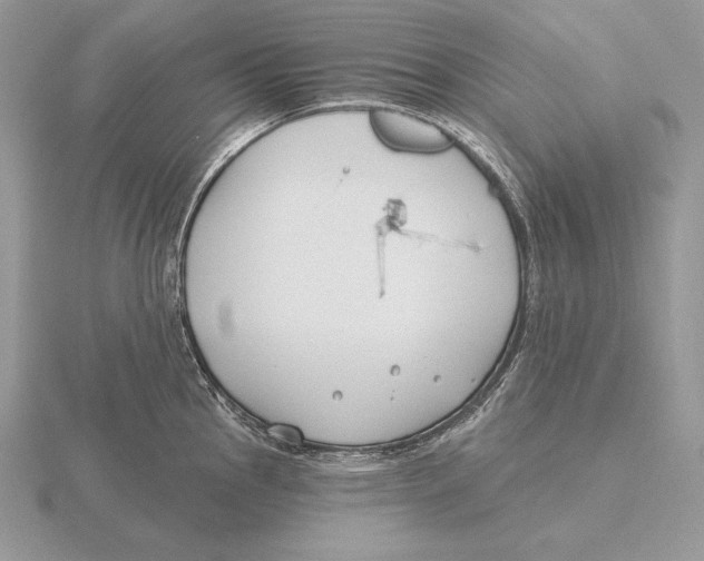 X0000115791145200912111143