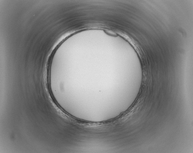 X0000115791147200912111143