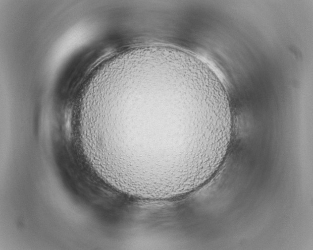 X0000115791150200912111143