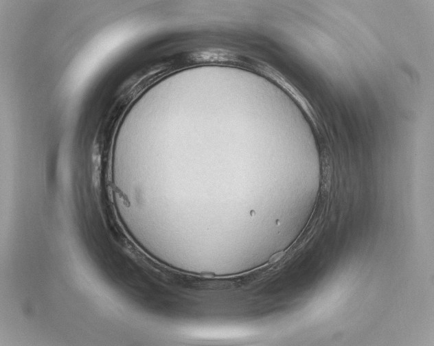 X0000115791151200912111143