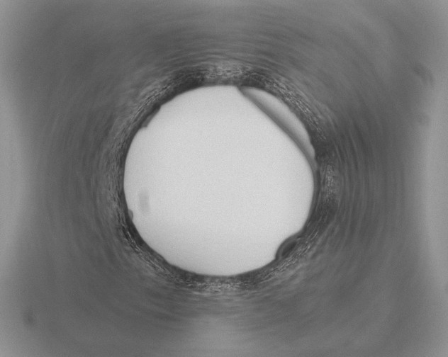 X0000115791153200912111142