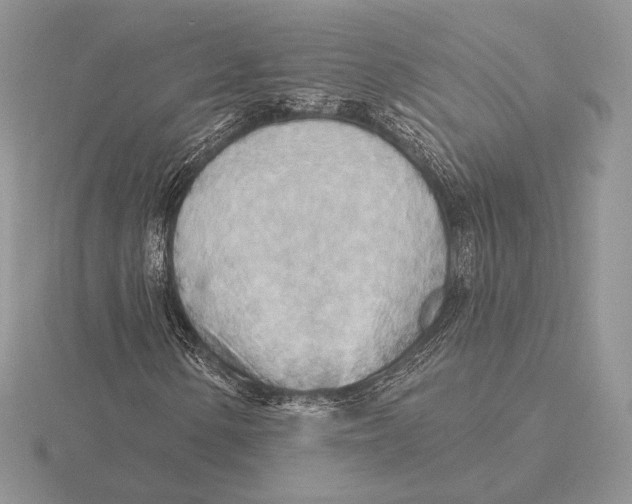 X0000115791154200912111142