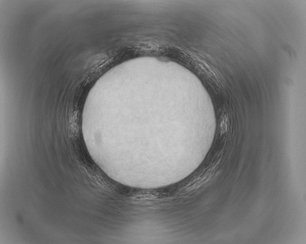 X0000115791156200912111142