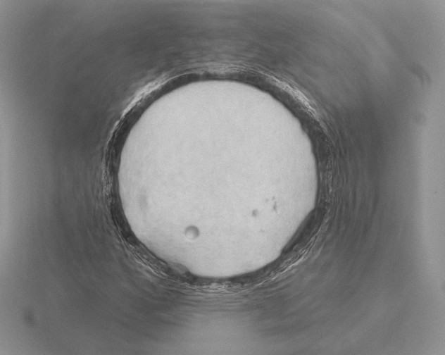 X0000115791160200912111142