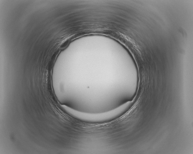 X0000115791161200912111142