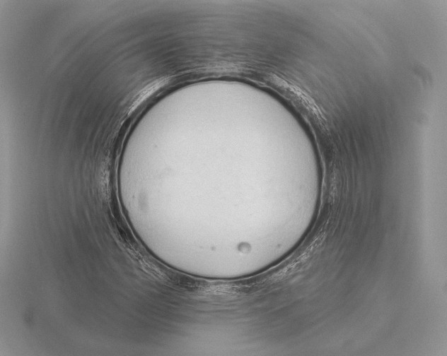 X0000115791162200912111142