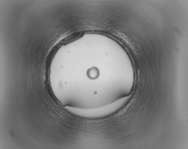 X0000115791165200912111142