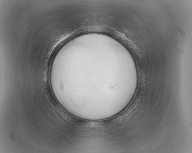 X0000115791166200912111142