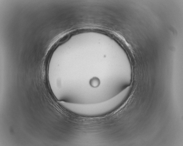 X0000115791167200912111142