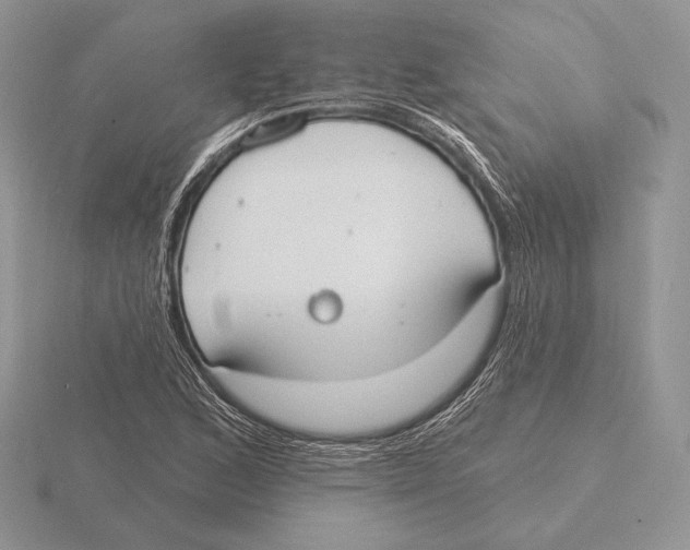 X0000115791168200912111142