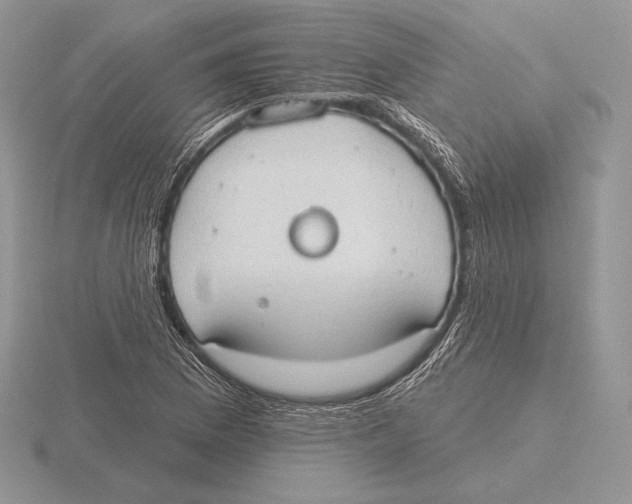 X0000115791169200912111142