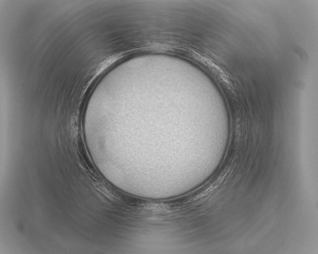 X0000115791170200912111142