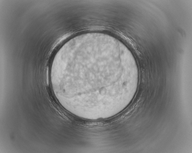 X0000115791171200912111142