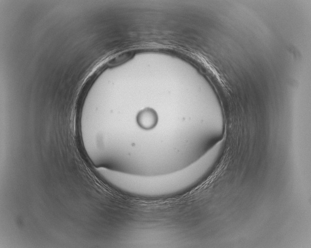 X0000115791173200912111142