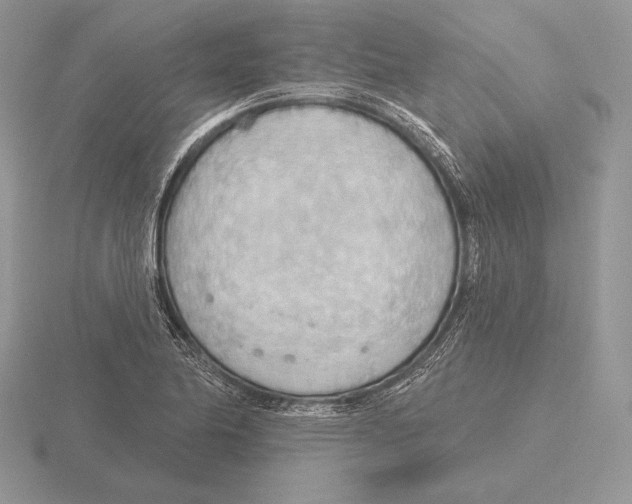 X0000115791174200912111142