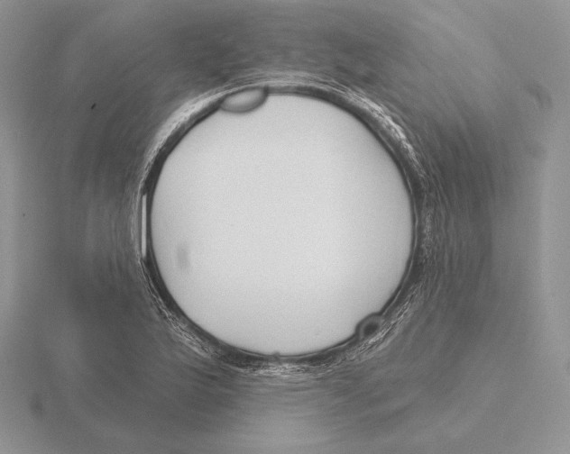 X0000115791175200912111142