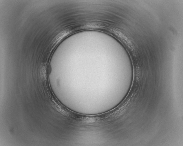 X0000115791177200912111142