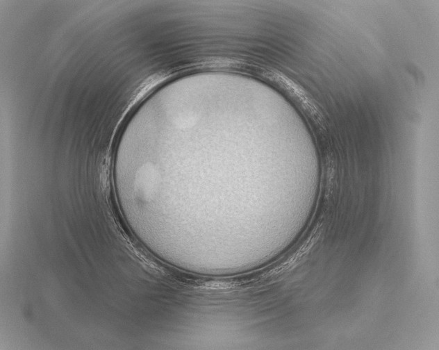 X0000115791178200912111142