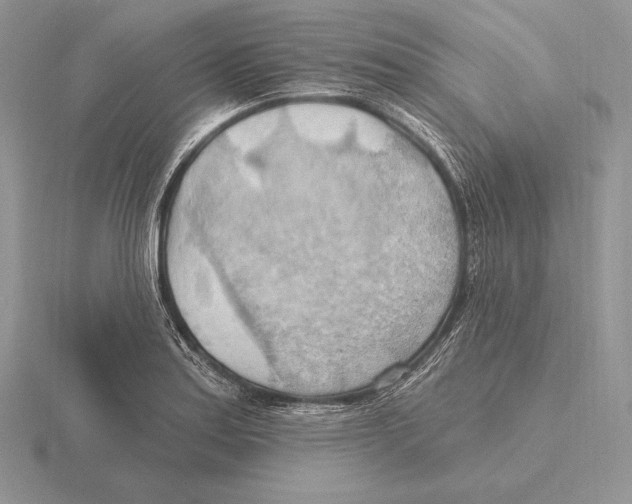 X0000115791179200912111142