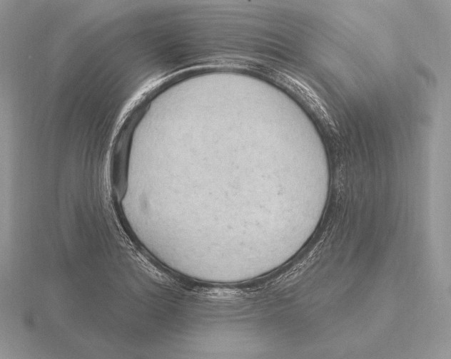 X0000115791180200912111142