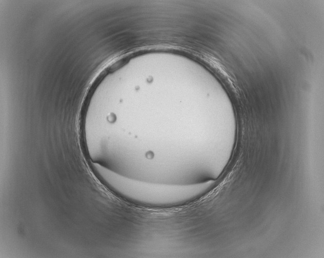 X0000115791181200912111142