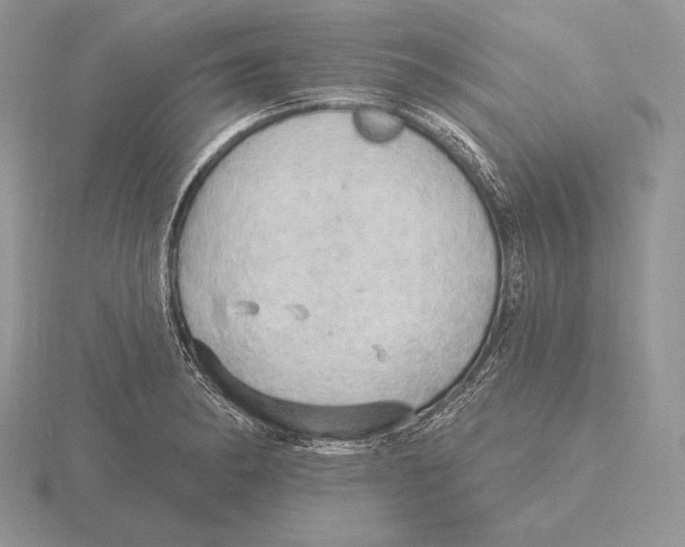 X0000115791182200912111142