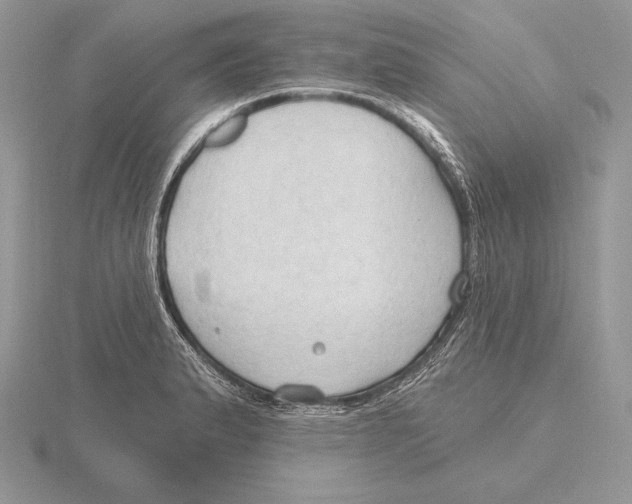 X0000115791183200912111142