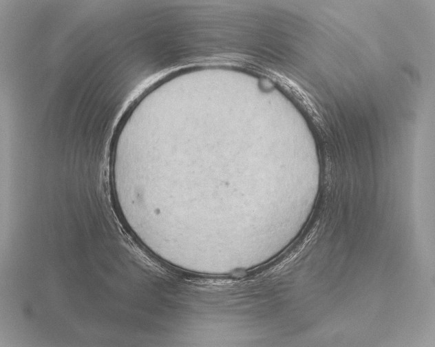 X0000115791184200912111142