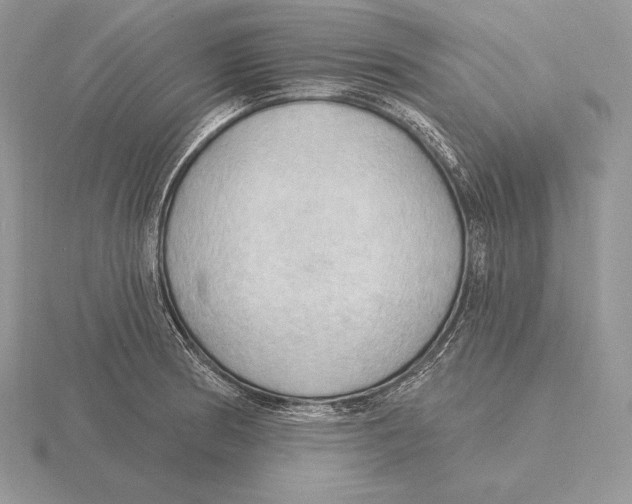 X0000115791186200912111142